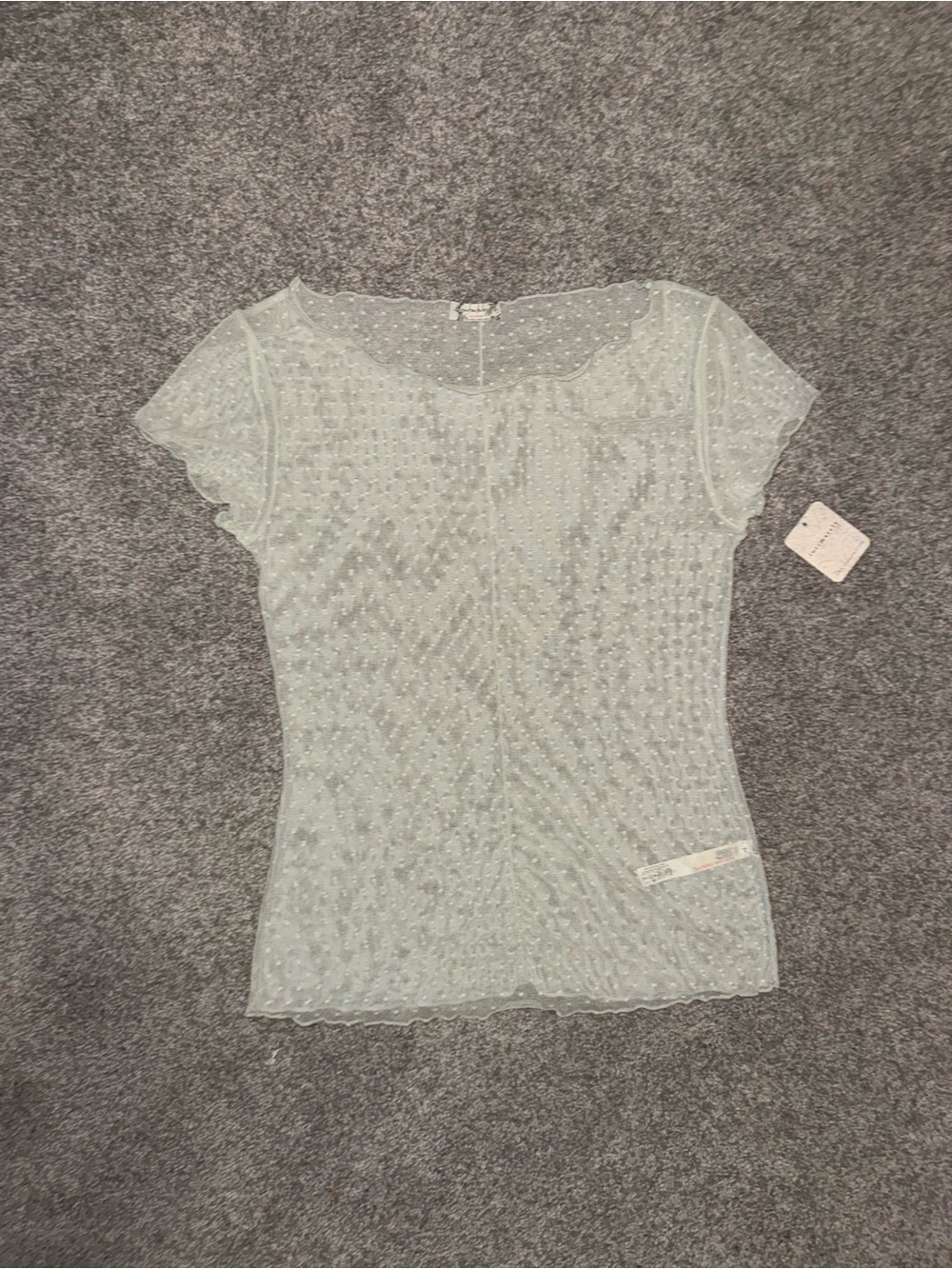 Free People Light Mint Sheer Dot Mesh Short-Sleeve Top